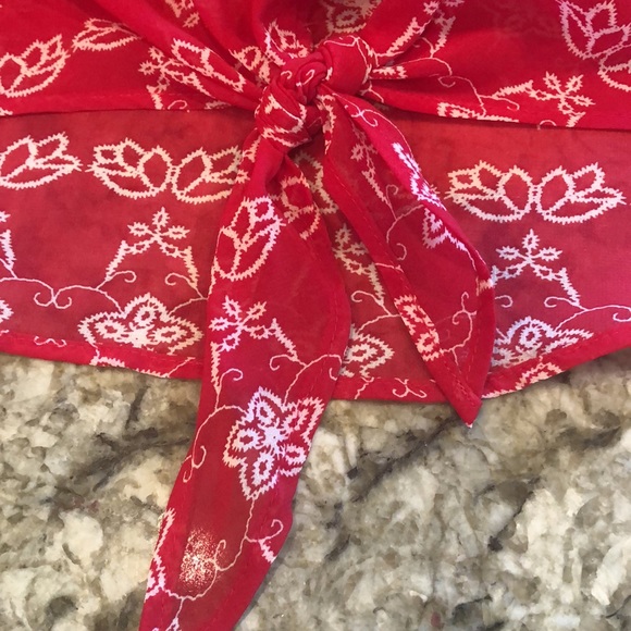 NWOT Large Signature Studio sheer red & white top with tie front & longer back - Picture 4 of 5